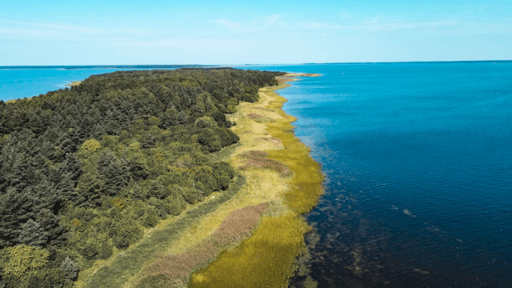 Estonia's coastline