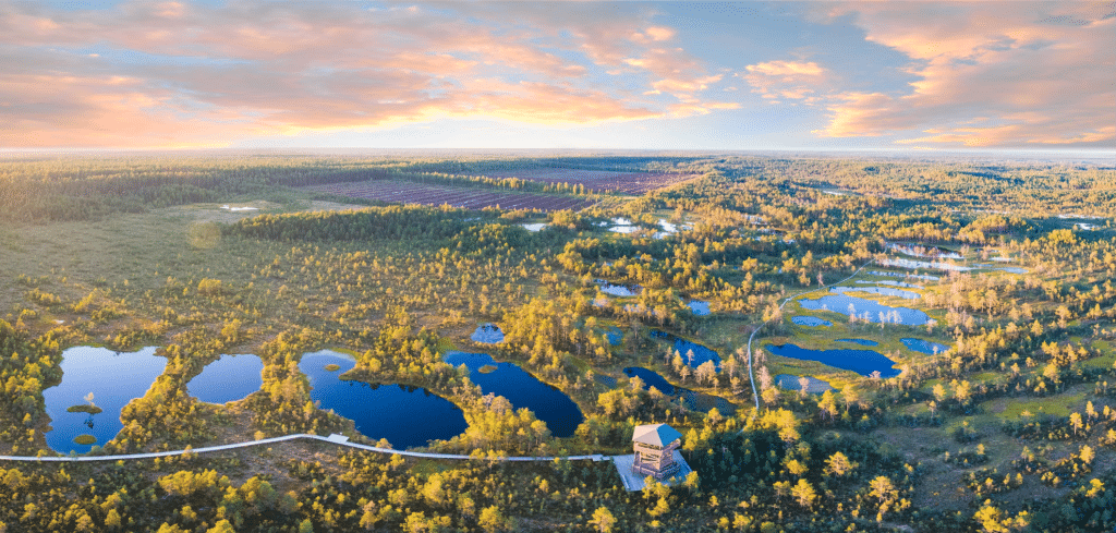 Estonia